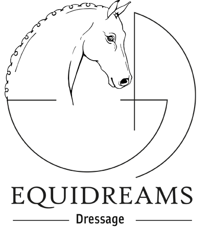 clubhipicequidreams.com